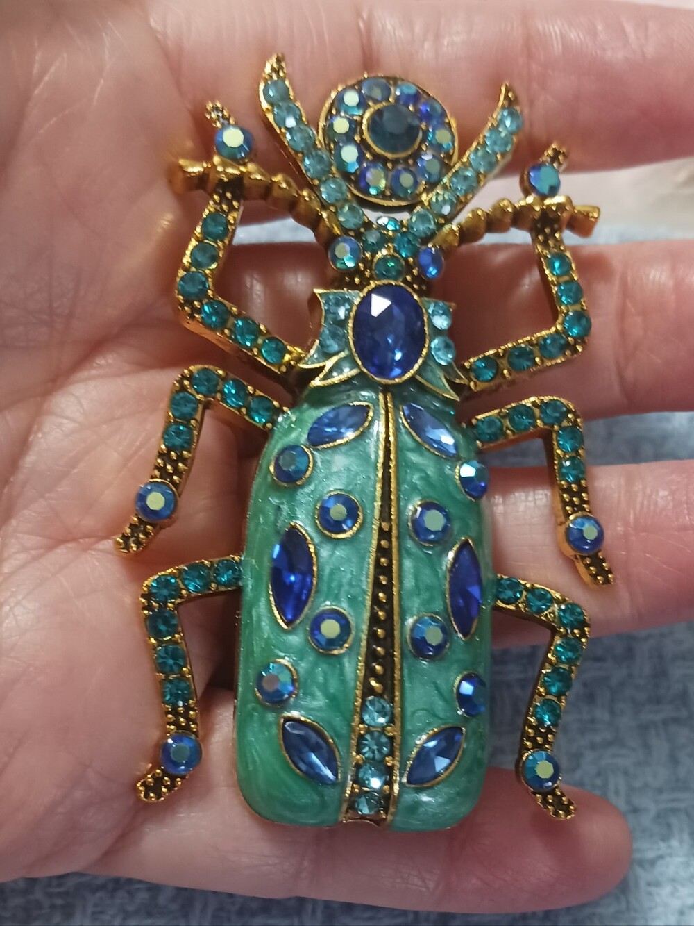 Source Unknown  Beetle Pin